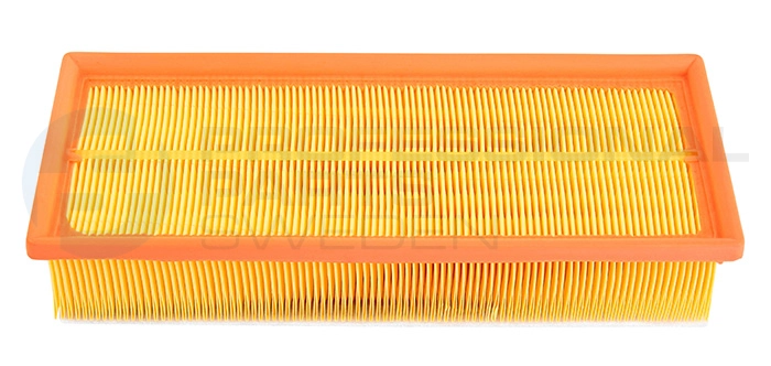 Air Filter (24429620)