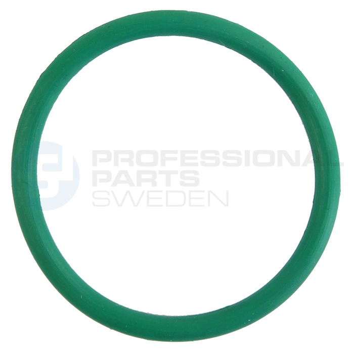 Seal Ring (21439659)