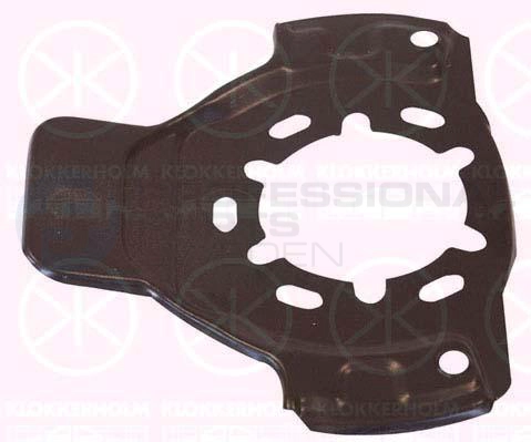 Splash Guard, brake disc (51281379)