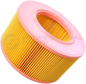 Air Filter (24341959)