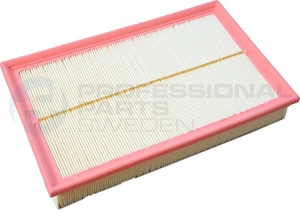 Air Filter (24436361)