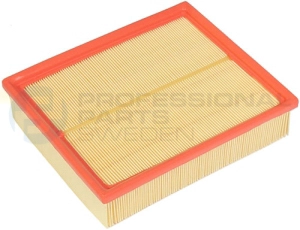 Air Filter (24029787)