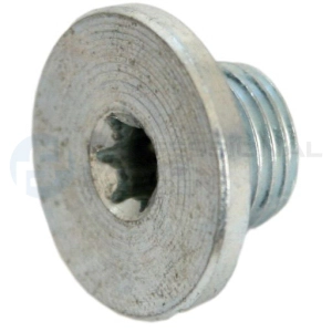 Screw Plug, oil sump (21340230)