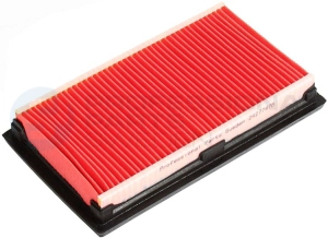 Air Filter (24277478)