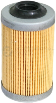 Oil Filter (22346310)