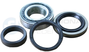 Wheel Bearing Kit (77433872)