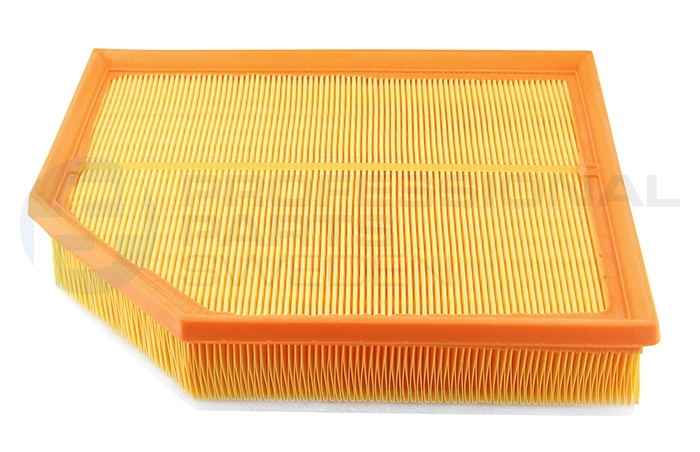 Air Filter (24430089)
