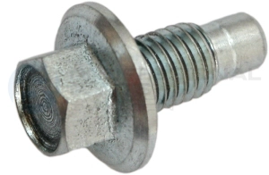 Screw Plug, oil sump (21349933)