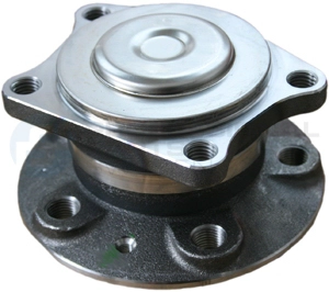 Wheel Hub (77437387)