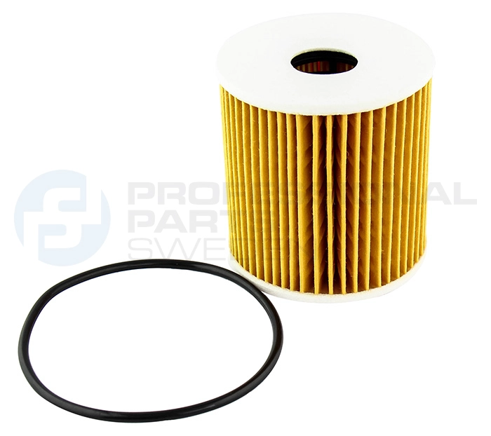 Oil Filter (22435810)