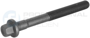 Cylinder Head Bolt (21437762)