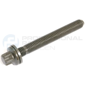 Cylinder Head Bolt (21438871)