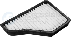Filter, cabin air (87250060)