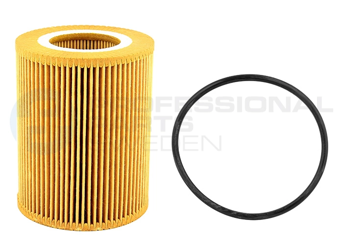 Oil Filter (22430013)