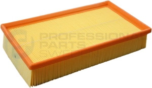 Air Filter (24438047)
