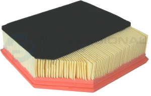 Air Filter (24436833)
