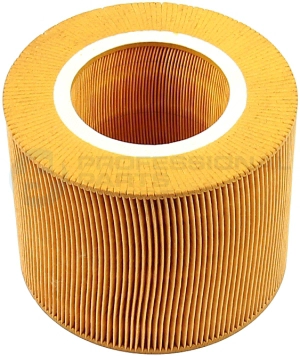 Air Filter (24342491)