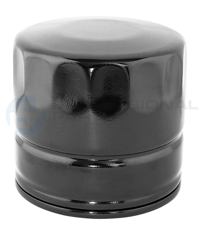 Oil Filter (22437632)