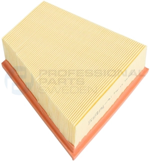 Air Filter (24423575)