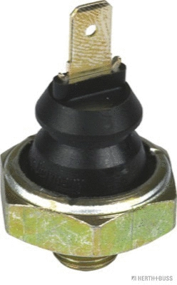 Oil Pressure Switch (70541043)