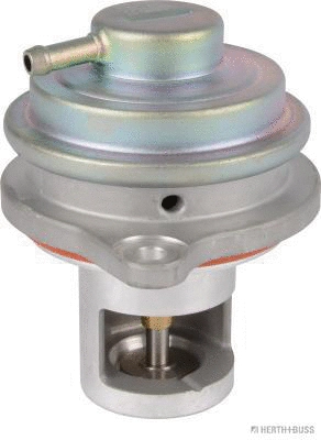 EGR Valve (70671200)