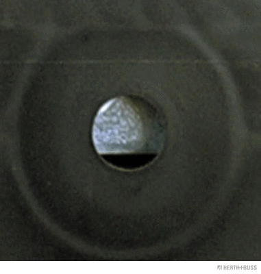 Tail Light Assembly (83840516)