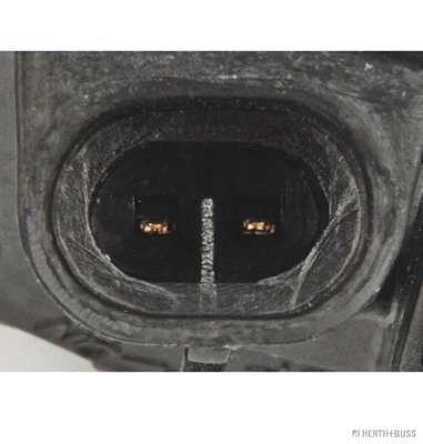 Front Fog Light (80660130)