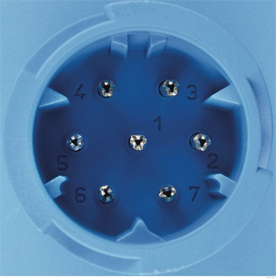 Tail Light Assembly (83840705)