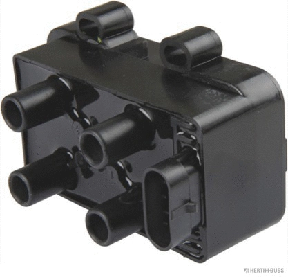 Ignition Coil (19020030)