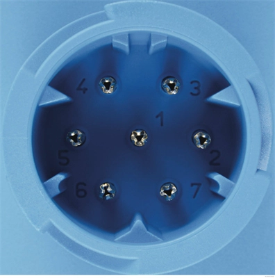 Tail Light Assembly (83840704)