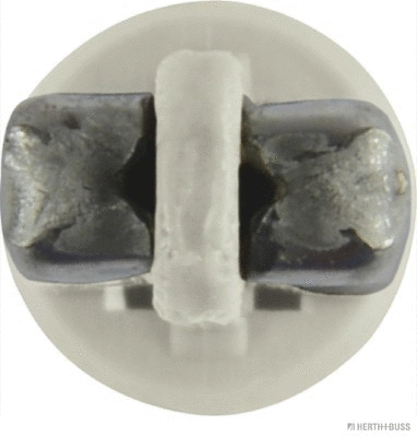 Bulb, instrument lighting (89901231)