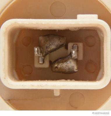 Bulb, direction indicator (89901424)