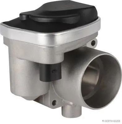 Throttle Body (70650032)