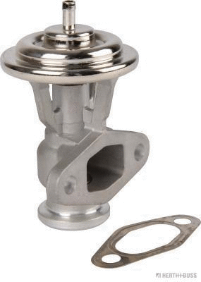 EGR Valve (70671201)