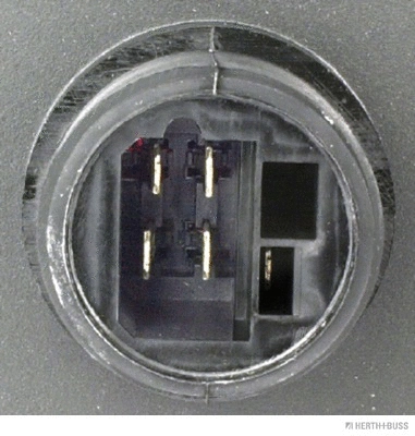 Tail Light Assembly (83840501)