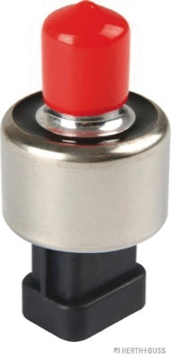 Pressure Switch, air conditioning (70100001)