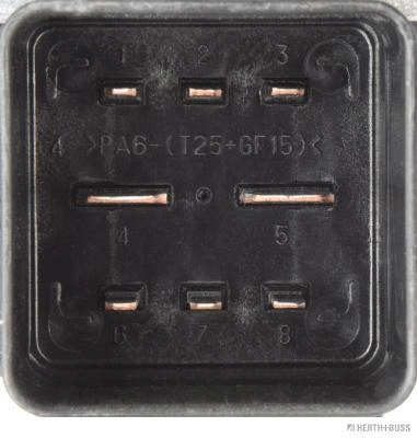 Control Unit, glow time (75614344)