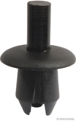 Expanding Rivet (50267080)