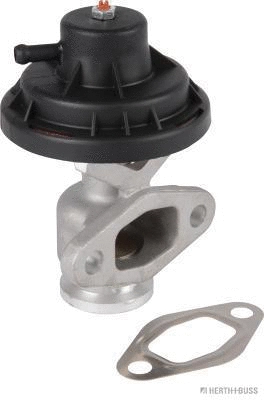 EGR Valve (70671028)