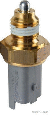 Switch, reverse light (70560006)