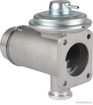 EGR Valve (70671101)