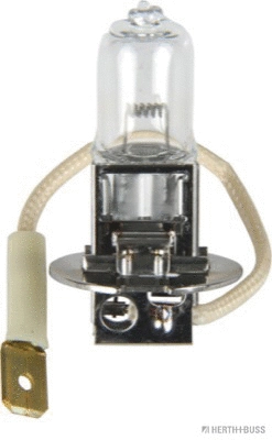 Bulb (89901053)