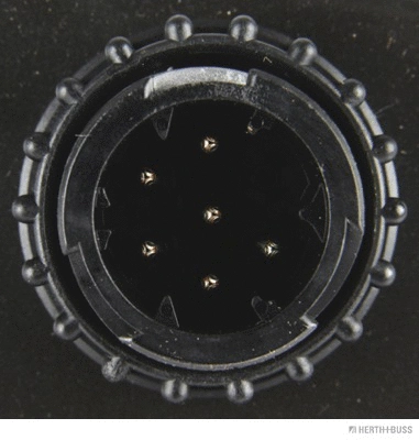 Tail Light Assembly (83840058)