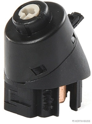 Ignition Switch (70513153)