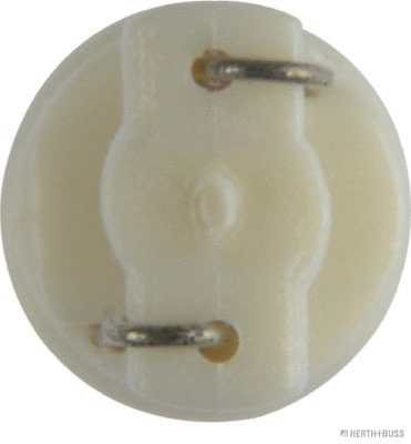 Bulb, instrument lighting