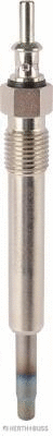 Glow Plug (19571007)