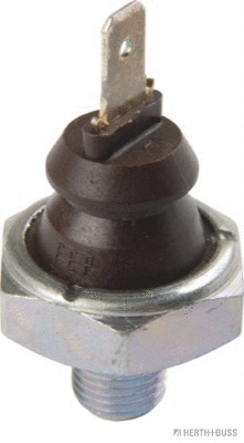 Oil Pressure Switch (70541079)