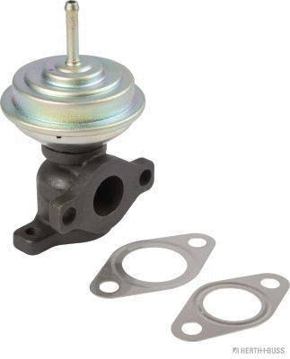 EGR Valve (70671032)