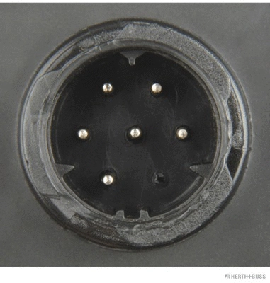 Tail Light Assembly (83830235)