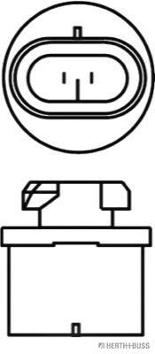 Bulb, front fog light